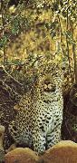 unknow artist Misstanksamt and furiost am guarding leoparden sits loot France oil painting artist